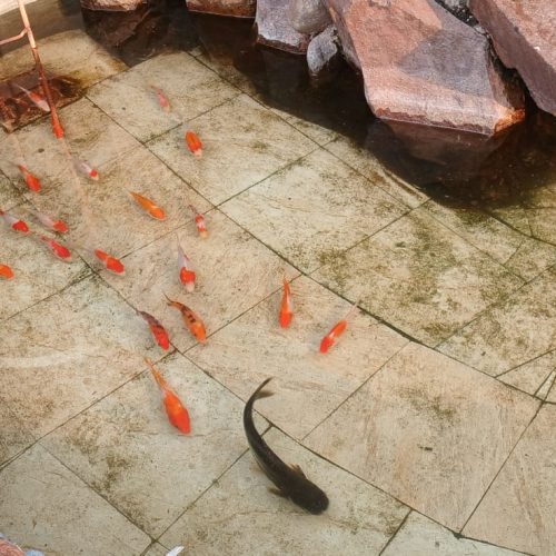 WhatsApp Image 2025-12-07 at 22.37.09 (1)