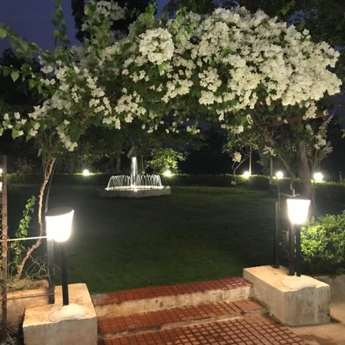 WhatsApp Image 2025-12-07 at 22.37.16