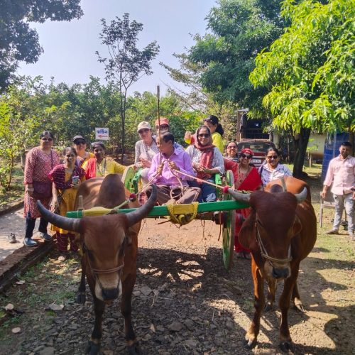 WhatsApp Image 2025-12-10 at 08.42.39